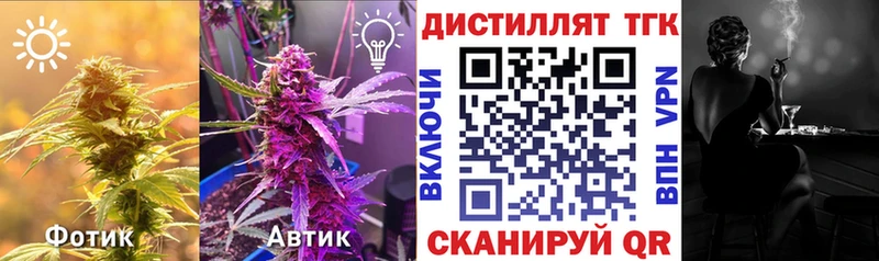 MEGA tor  Чебаркуль  Дистиллят ТГК концентрат 