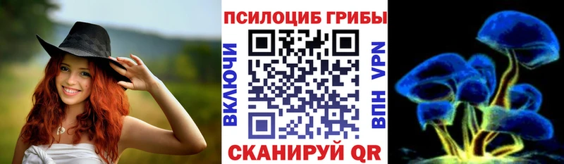Псилоцибиновые грибы Psilocybe Чебаркуль
