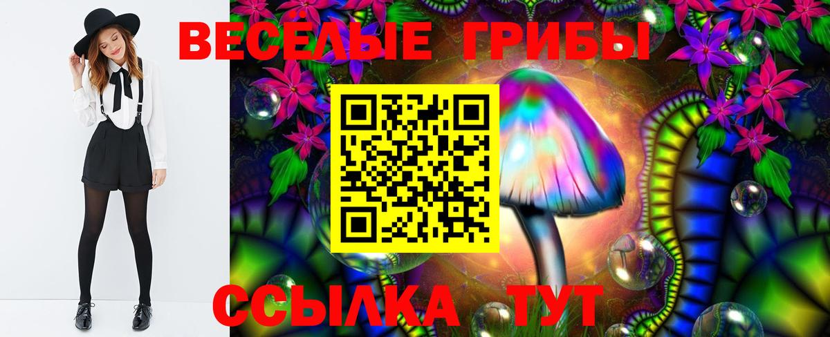 Псилоцибиновые грибы Psilocybine cubensis  Псилоцибиновые грибы мухоморы  Чебаркуль  Вход с VPN 