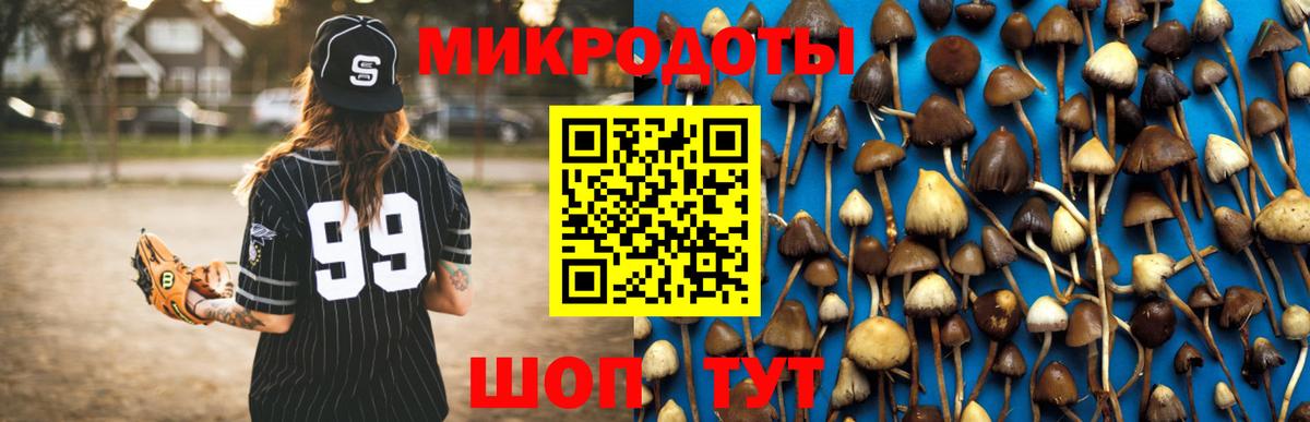 Псилоцибиновые грибы GOLDEN TEACHER Чебаркуль